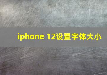 iphone 12设置字体大小